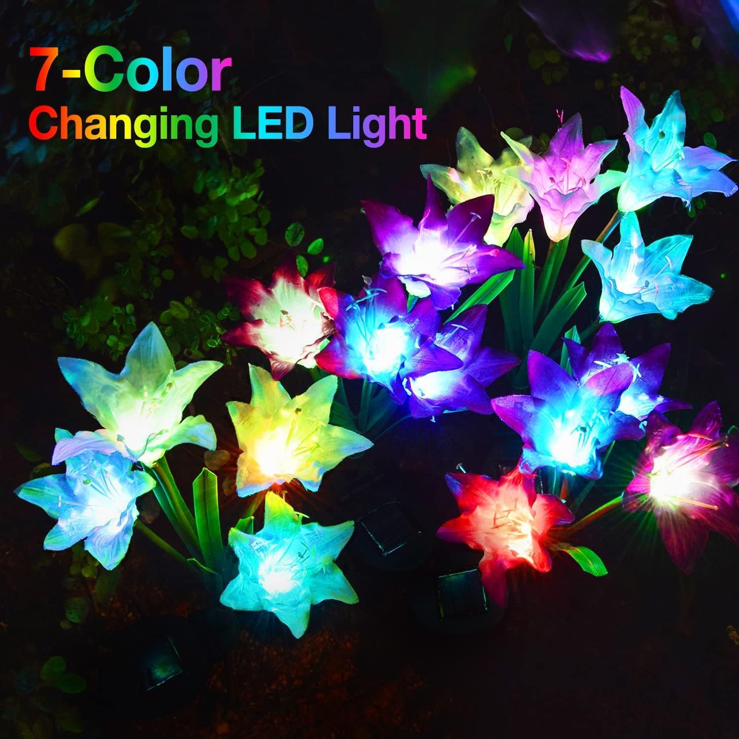 Solar Light - Image 2