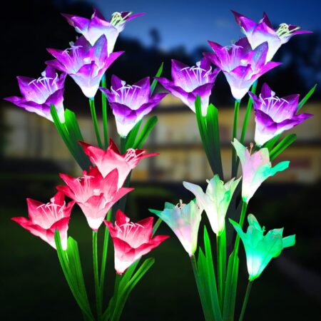Solar Light