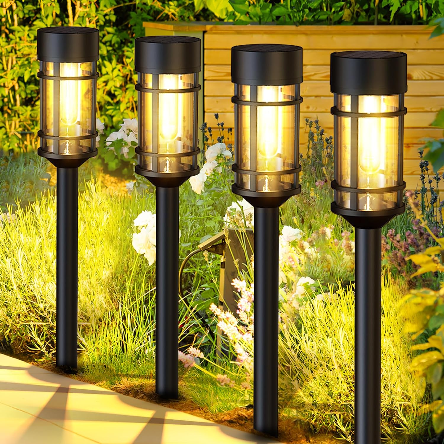 Solar Pathway Light